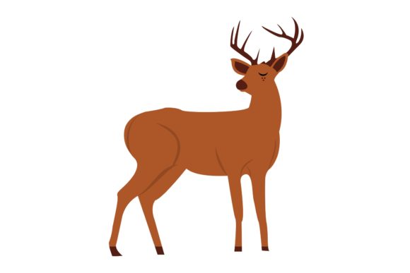 Christmas Reindeer with Pretty Horns Illustrations