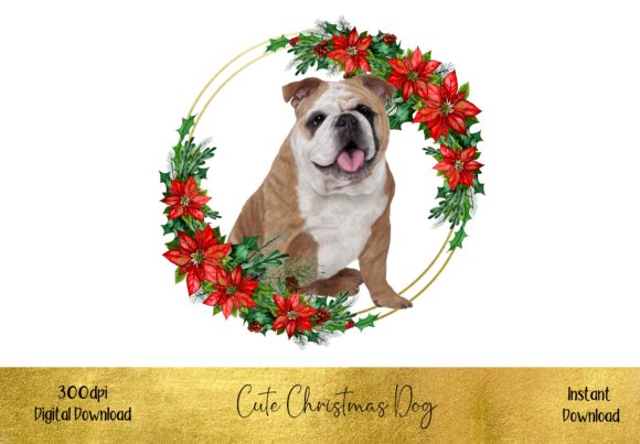 Cute Christmas English Bulldog