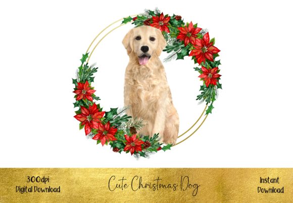 Cute Christmas Labrador Illustrations